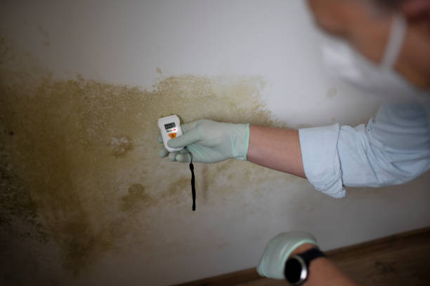 Best Mold Testing  in Chincoteague, VA